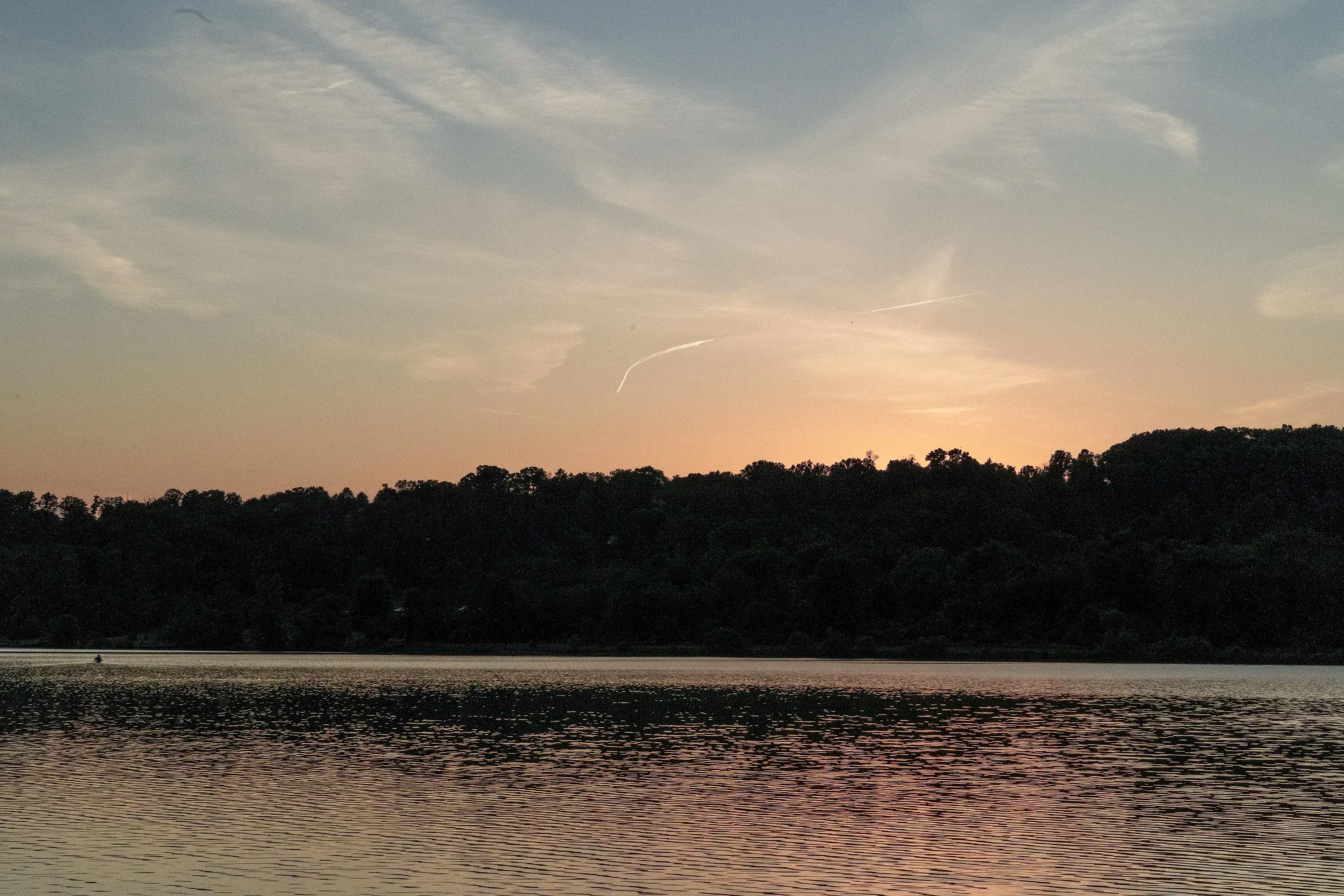 Category: Nature - ID: DSC00505.webp