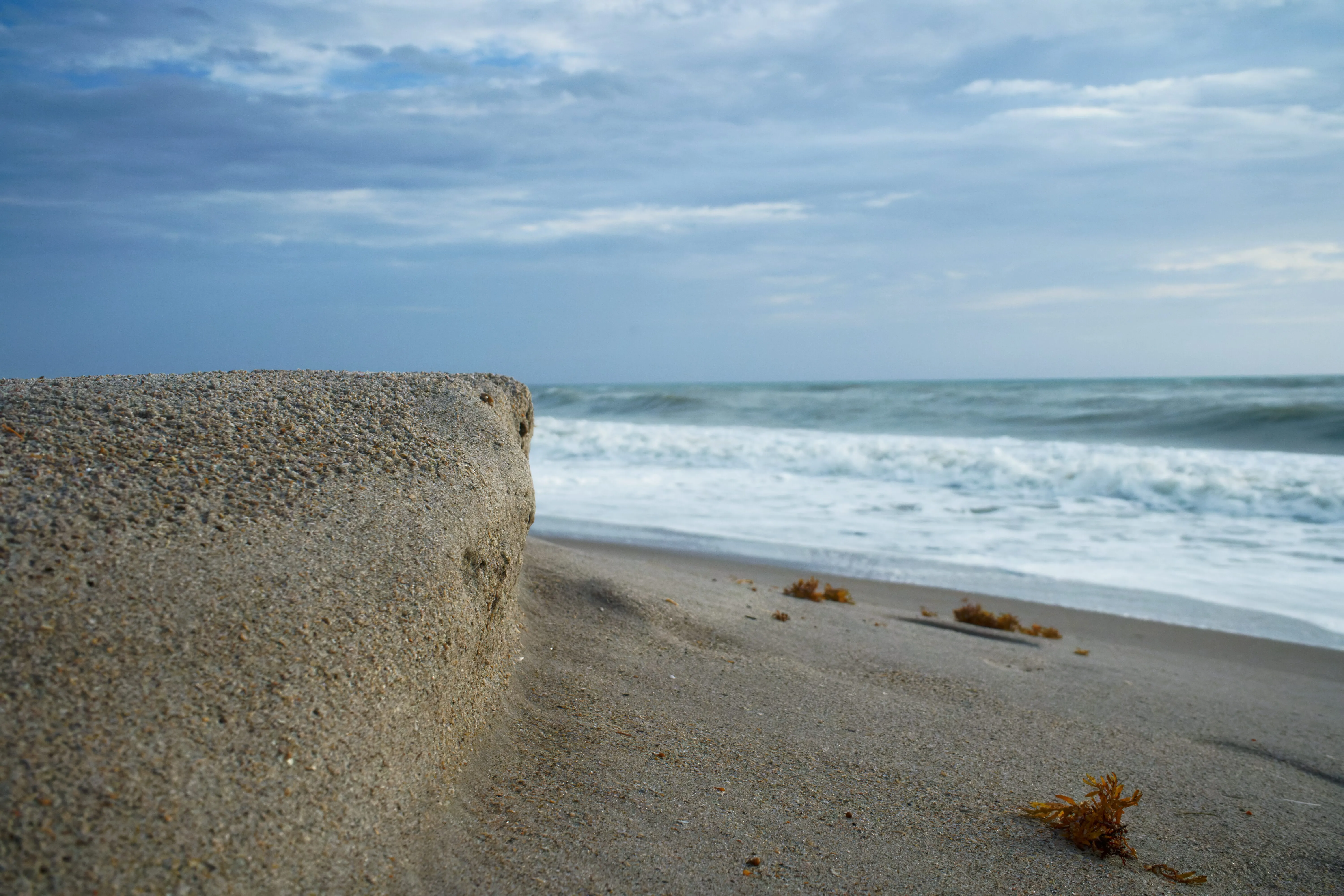 Category: Nature - ID: DSC01348_DxO.jpg