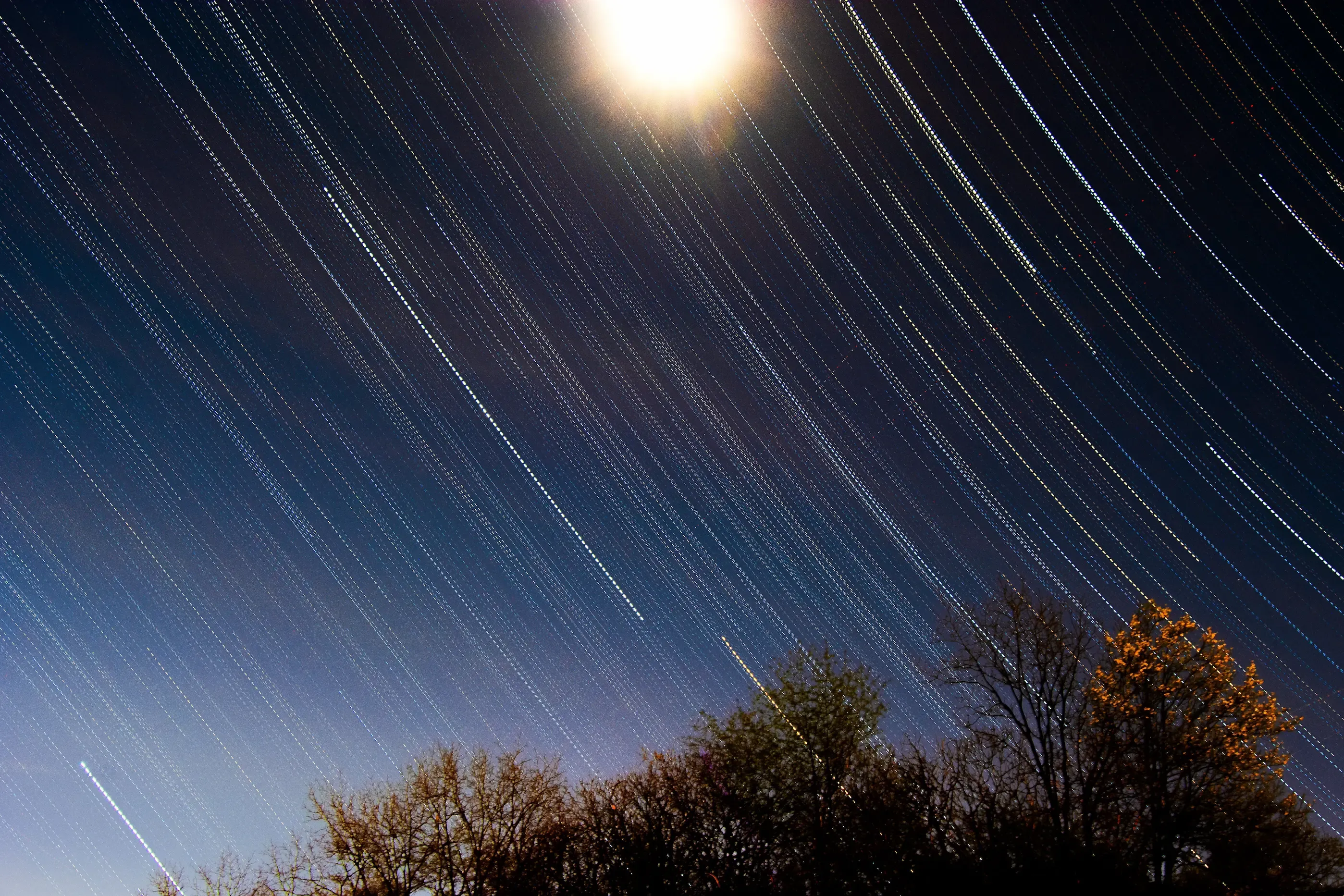 Category: Nature - ID: startrails FINAL.webp